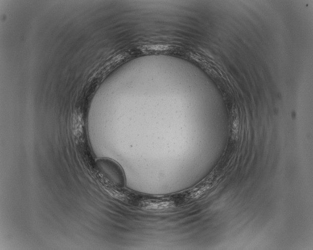 X0000067400555200604211702