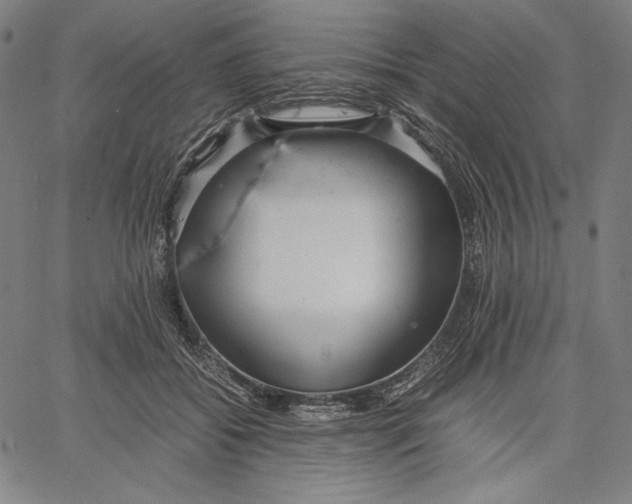 X0000067400556200604211702