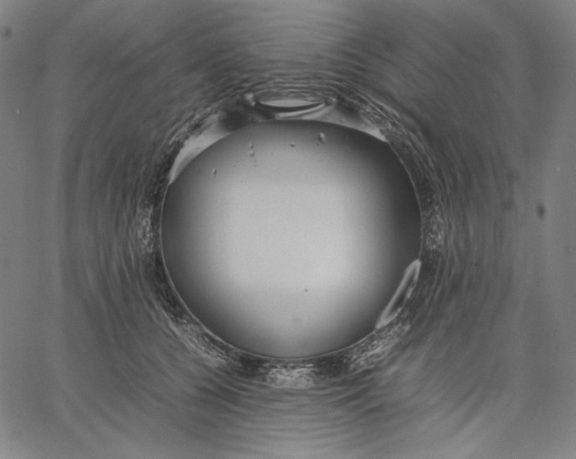 X0000067400560200604211702