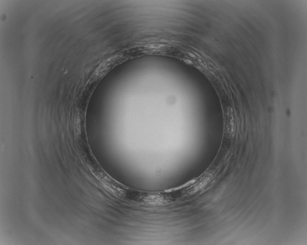 X0000067400562200604211702