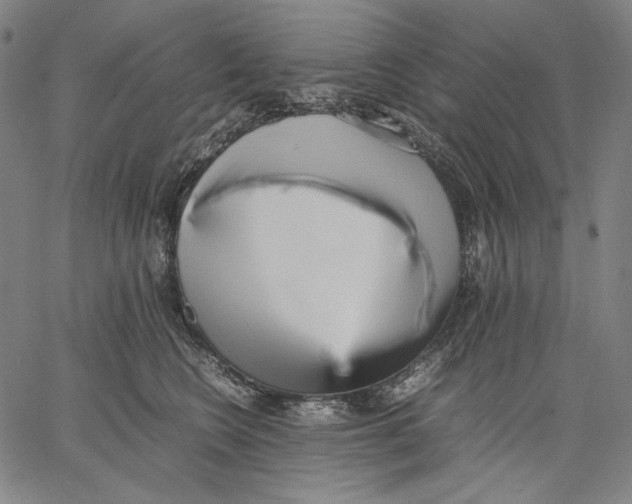X0000067400566200604211702