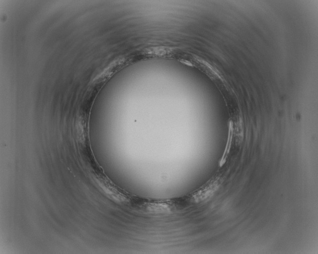 X0000067400572200604211702