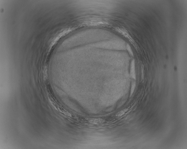 X0000067400579200604211701