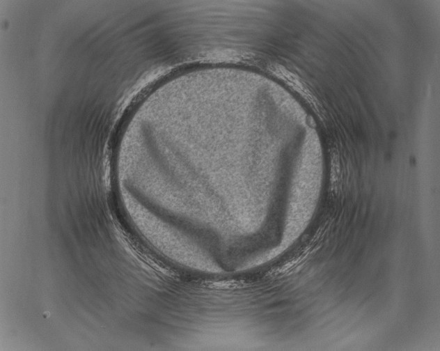 X0000067400584200604211701