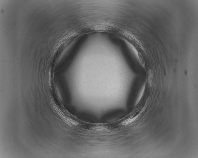 X0000067400589200604211701