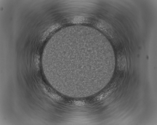 X0000067400592200604211701