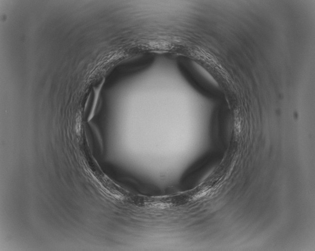 X0000067400593200604211701