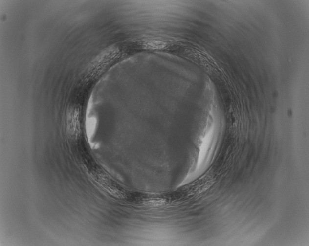 X0000067400598200604211701