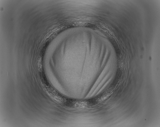 X0000067400599200604211701