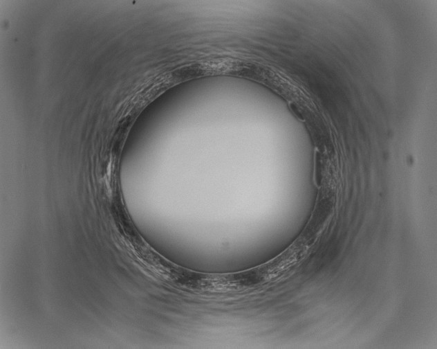 X0000067400601200604211701