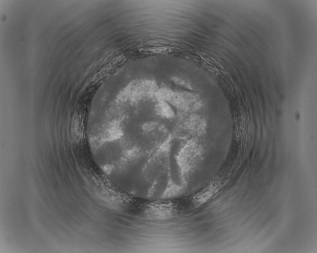 X0000067400606200604211701
