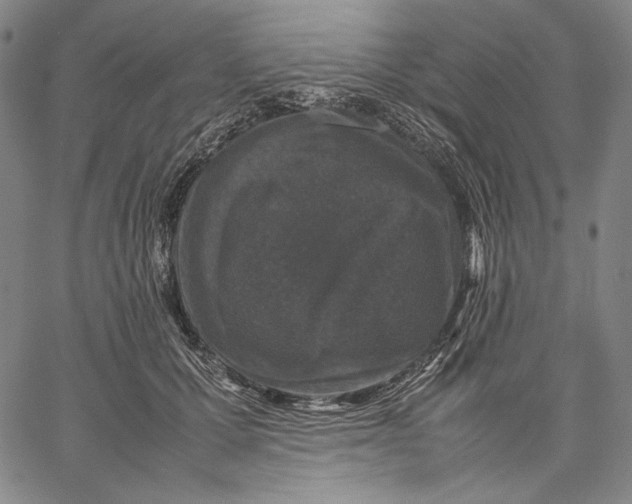 X0000067400607200604211701