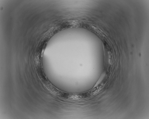 X0000067400611200604211701