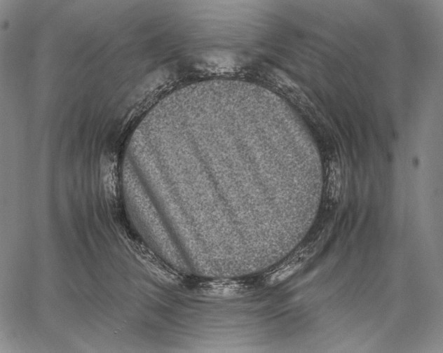 X0000067400612200604211701