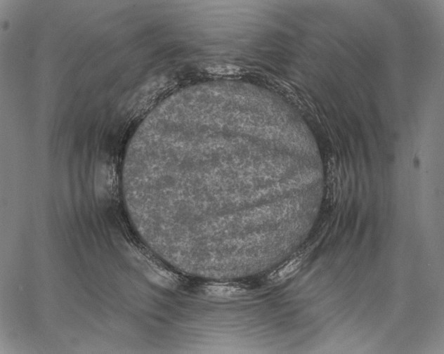 X0000067400614200604211700