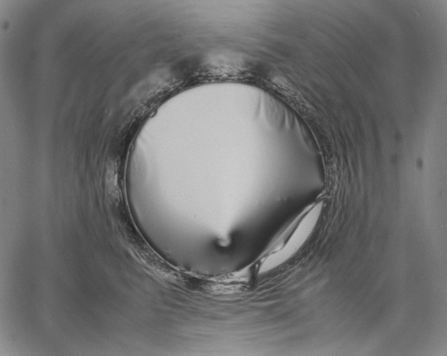 X0000067400615200604211700