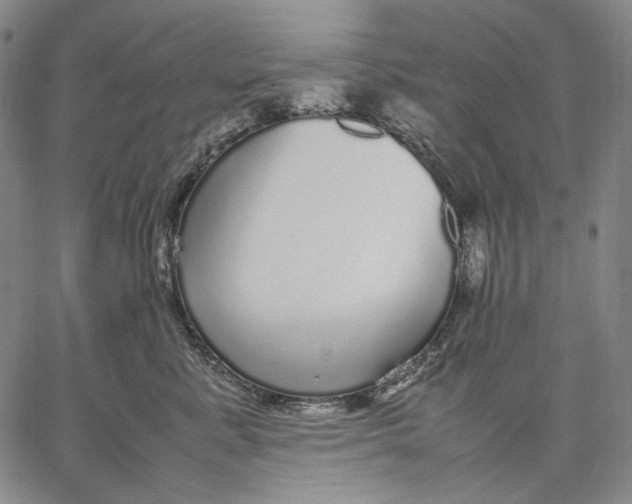 X0000067400619200604211700