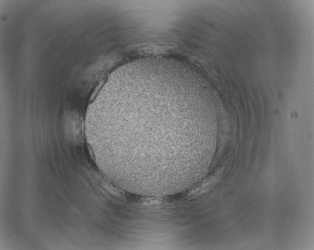 X0000067400624200604211700