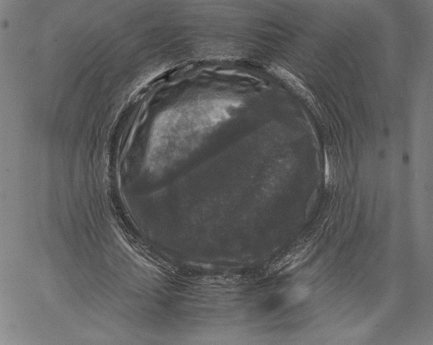 X0000067400627200604211700