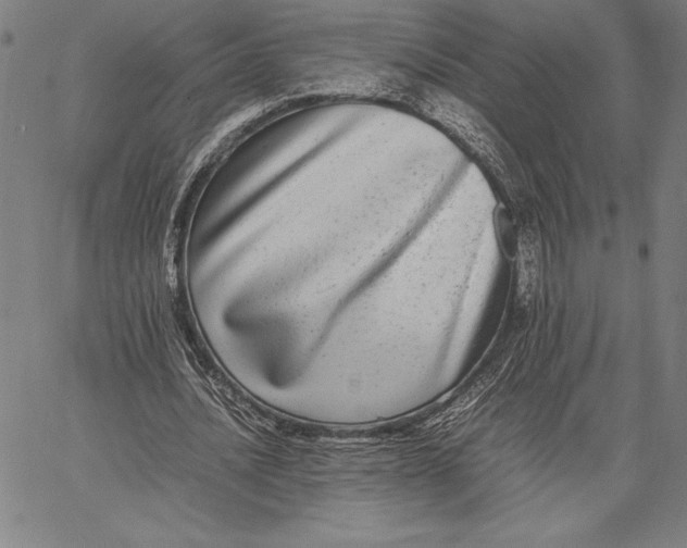 X0000067400628200604211700