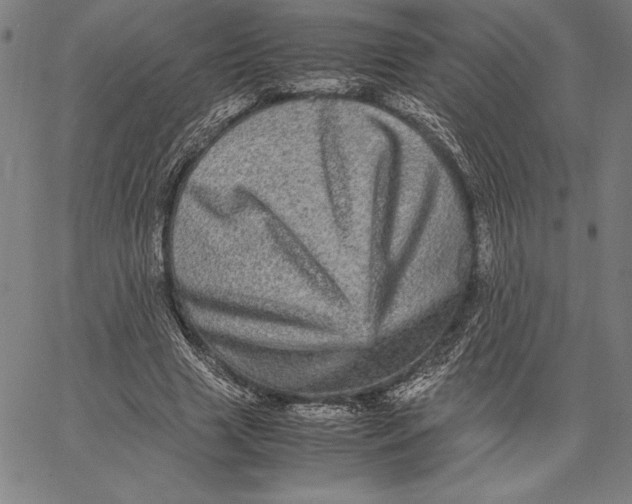 X0000067400633200604211700