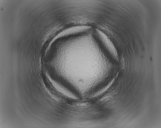 X0000067400638200604211700