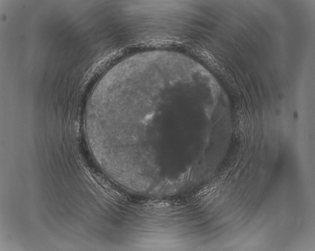 X0000067400640200604211700