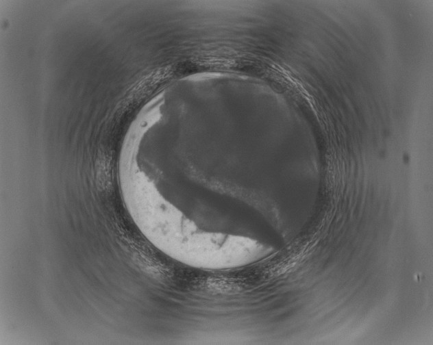 X0000067400641200604211700