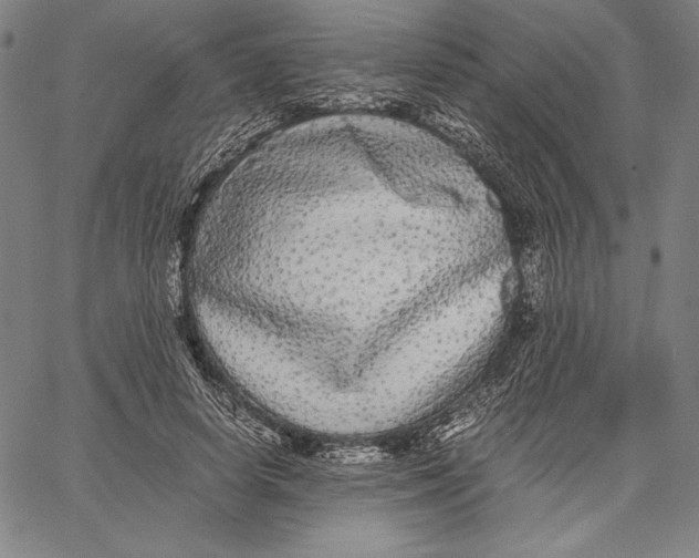 X0000067400642200604211700
