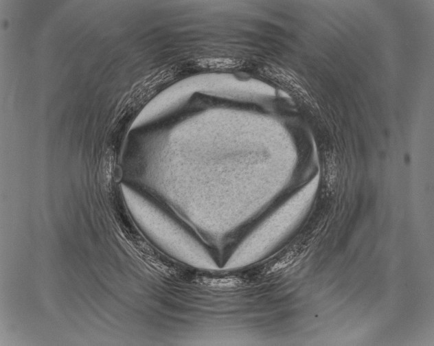 X0000067400645200604211700