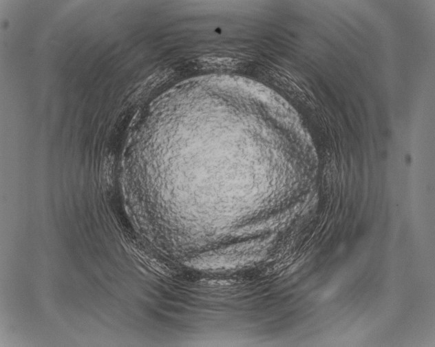 X0000067400649200604211700