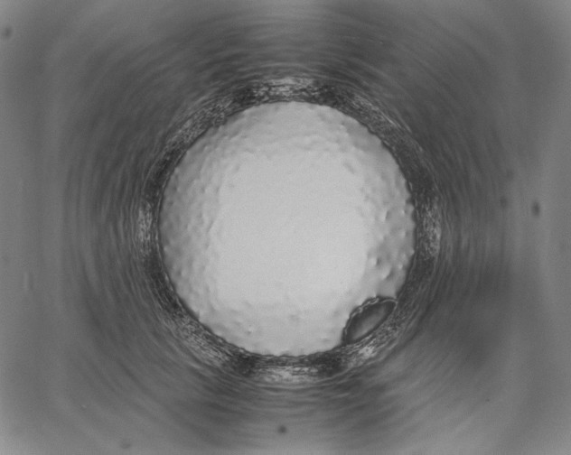 X0000067400657200604211700