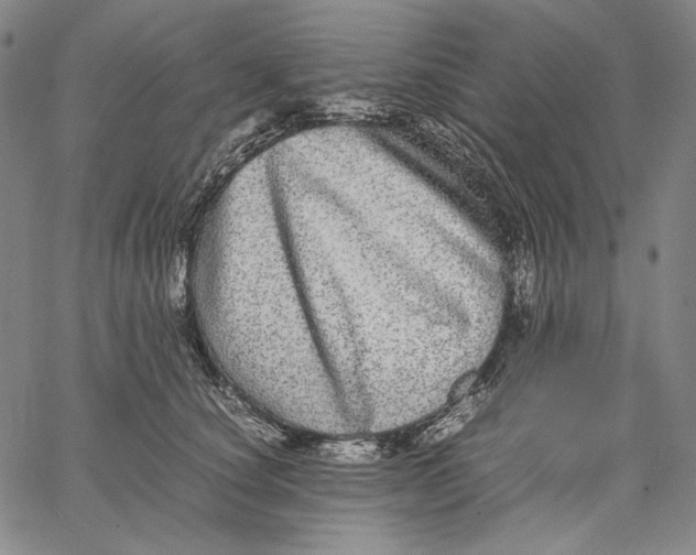 X0000067400660200604211700
