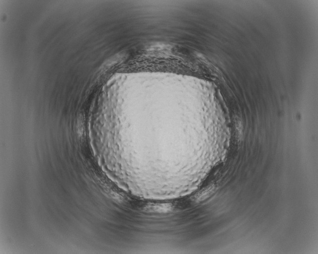 X0000067400665200604211700