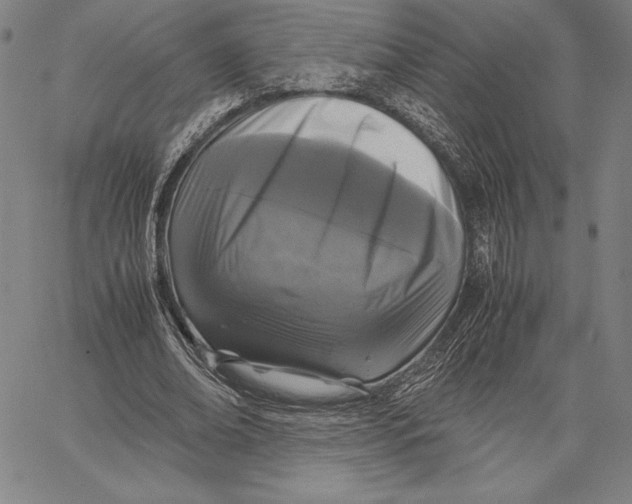 X0000067400678200604211659