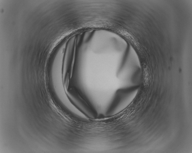 X0000067400680200604211659