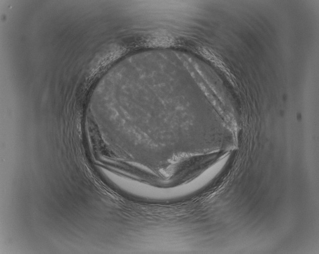 X0000067400681200604211659