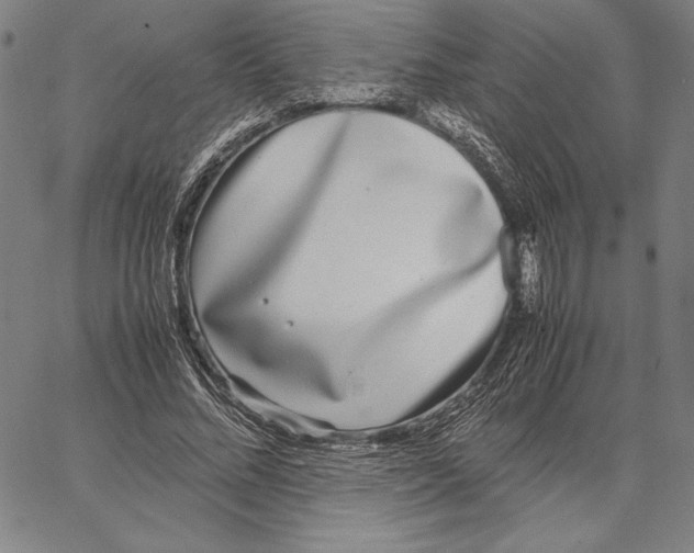 X0000067400684200604211659