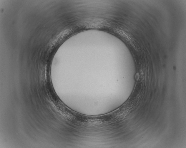 X0000067400686200604211659