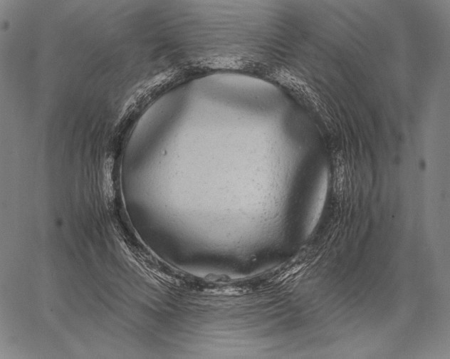 X0000067400688200604211659