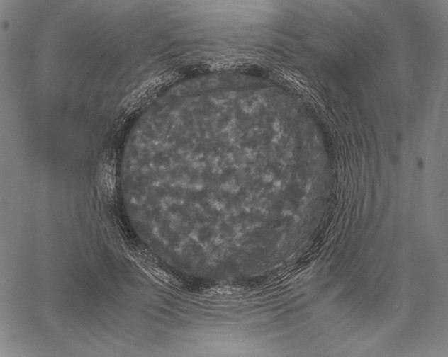 X0000067400691200604211659
