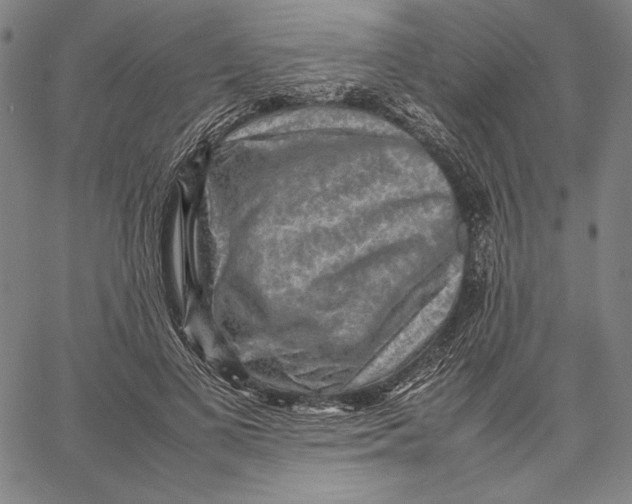 X0000067400693200604211659