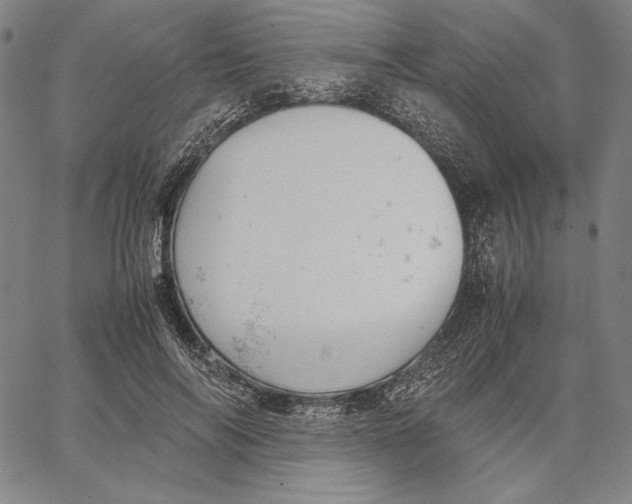 X0000067400694200604211659