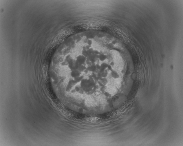 X0000067400695200604211659
