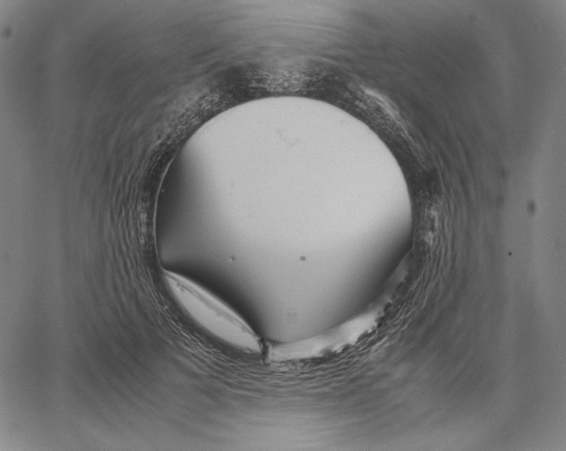 X0000067400697200604211659