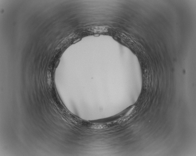 X0000067400704200604211659