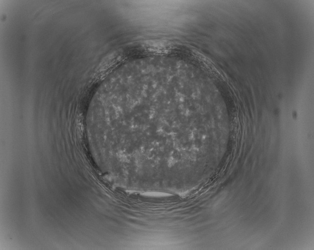 X0000067400707200604211659