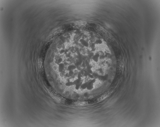 X0000067400711200604211659