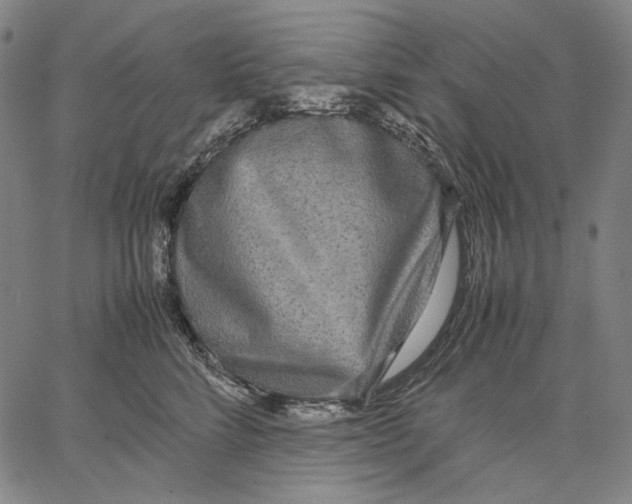 X0000067400712200604211659
