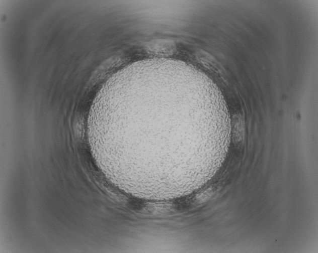 X0000067400713200604211659